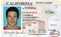 Driver license example
